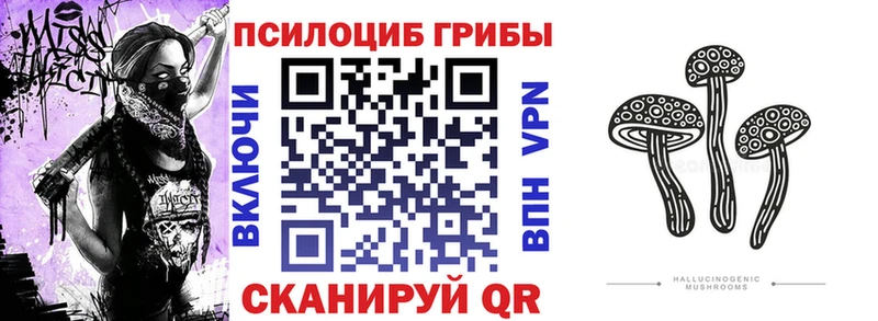 купить   Сенгилей  Галлюциногенные грибы MAGIC MUSHROOMS 